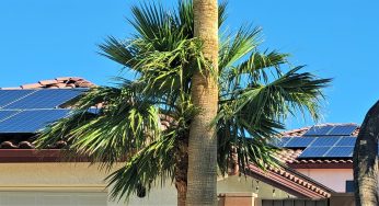Solar Panel Myth-Busting: 5 Common Misconceptions About Solar Power Systems Cleared Up